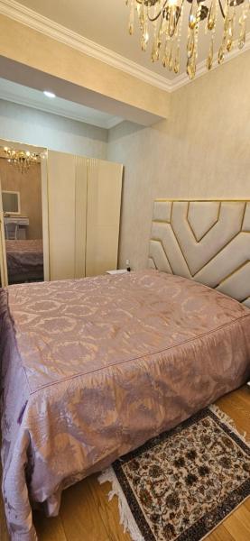 Apartment 23